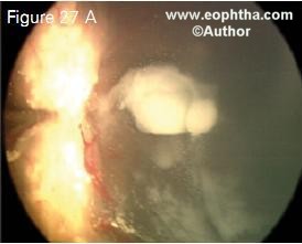 e8.27a