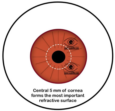 cornea