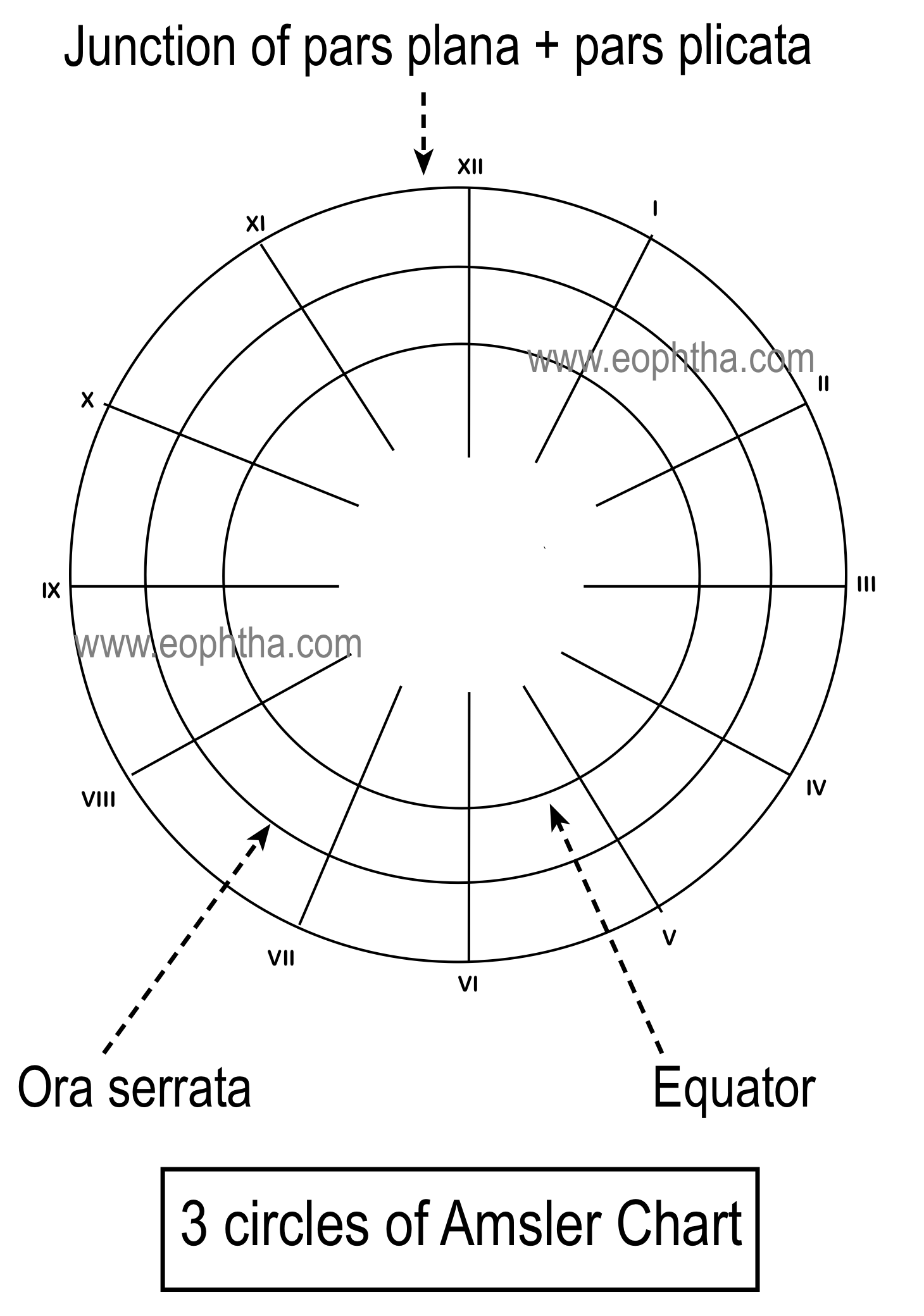Amslerchart