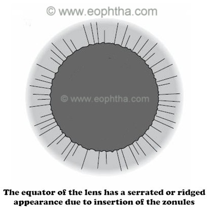 periphery of lens