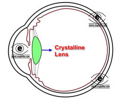 Lens