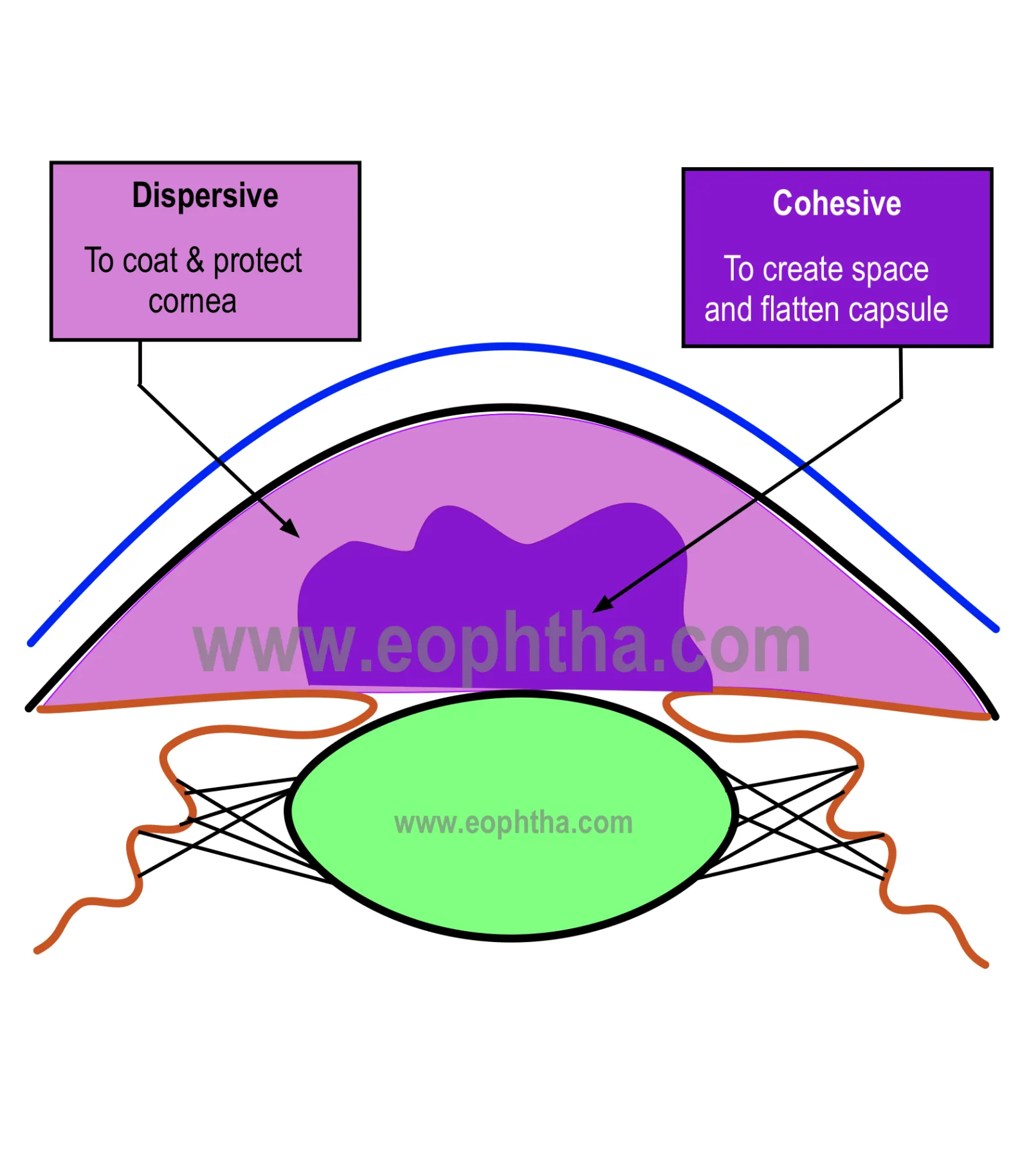 Viscoelastics
