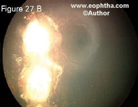 e8.27b